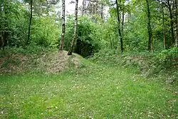 Nr. 3 : Split Ring Birch Mound