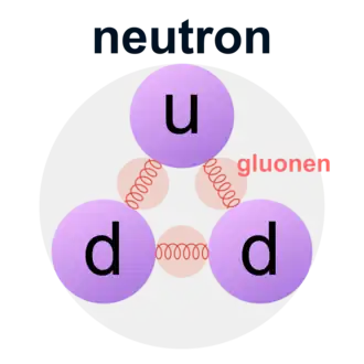 Neutron bestaande uit quarks (paars) en gluonen (rood)