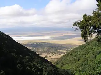 Ngorongoro