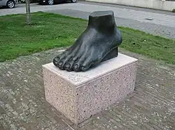 Voet van Nicolas Dings (2011)