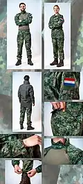 Het interim gevechtstenue in het Netherlands Fractal Pattern-camouflagepatroon.