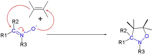 Dipolaire cycloadditie van een nitron tot isoxazolidine