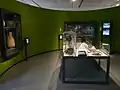 Archeologische voorwerpen in het museum
