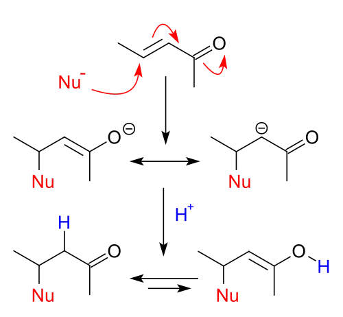Reactiemechanisme van de nucleofiele geconjugeerde additie.