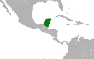 Yucatánpoorwill