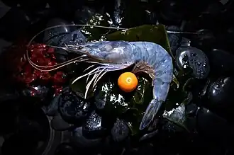 Pacifische blauwe garnaal