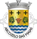 Vlag van Arcozelo das Maias
