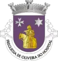 Vlag van Oliveira do Hospital
