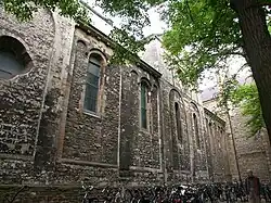 Zuidbeuk met pseudotransepten