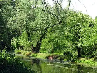 Natuurpark Fiume Sile