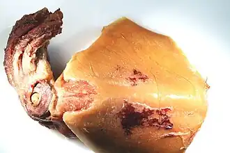 Octopoteuthis deletron