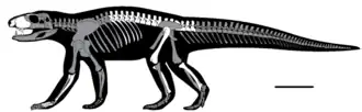 Ogresuchus