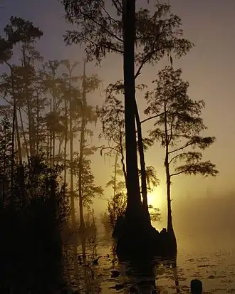 Okefenokee National Wildlife Refuge