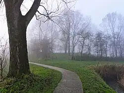 Het wierdekerkhof Ol Weem in de herfst