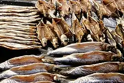 Coregonus migratorius