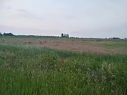 Doorkijkje naar de karakteristieke populieren in de Onderdijkse Polder op Kampen