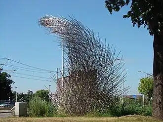 De Zwerm  van Paul Vendel, op de hoek met de Baden Powellweg uit 2006