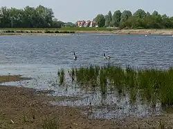 De Vierde Bergboezem