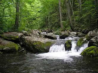 Snelstromende rivier in Zapovednik Lazovski.