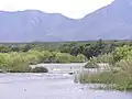De Breederivier met de Langebergen op de achtergrond.