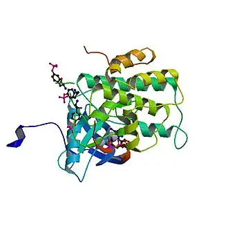 insulinereceptor