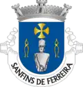 Vlag van Sanfins de Ferreira