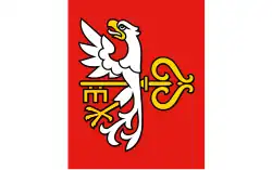 Vlag van gemeente Budzyń