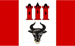 Vlag van gemeente Bedlno