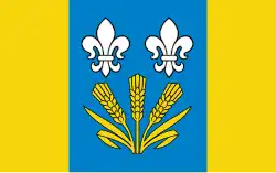 Vlag van gemeente Chąśno