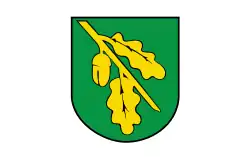 Vlag van gemeente Dąbrowa Chełmińska