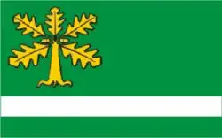 Vlag van gemeente Damnica