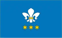 Vlag van gemeente Domaniewice