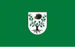 Vlag van gemeente Kruszyna