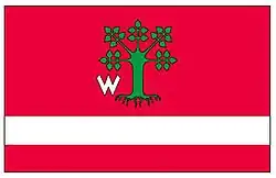 Vlag van gemeente Lipie