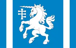 Vlag van gemeente Serniki