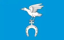 Vlag van gemeente Wyszki