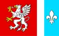 Vlag van Dębica
