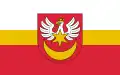 Vlag van Tarnów