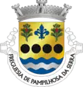 Vlag van Pampilhosa da Serra