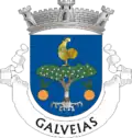 Vlag van Galveias