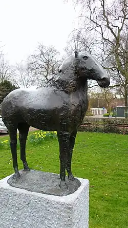 Paard (1966), Amsterdam