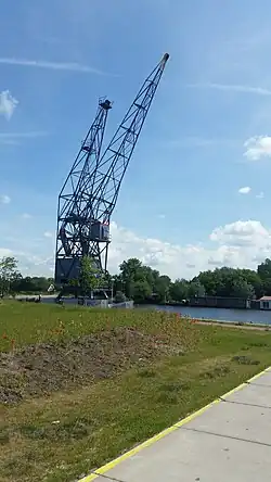 Paard van noord (mei 2019)