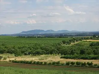 Beschermd Landschapsgebied Pálava