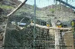 Willekeurige volière