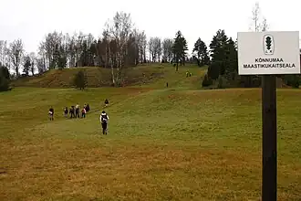 De heuvel Paluküla Hiiemägi