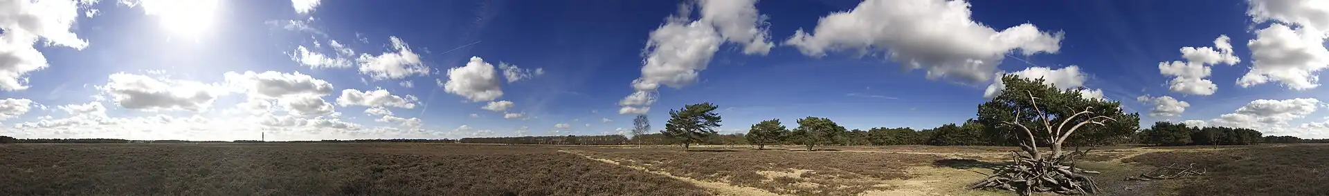 Panorama van de Bussummerheide