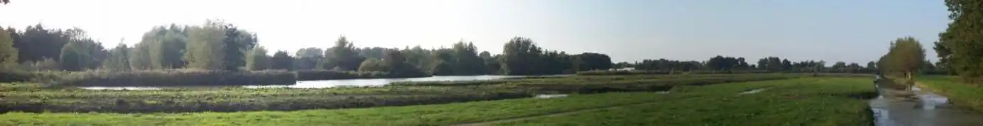 Panoramafoto van de Goudse Hout