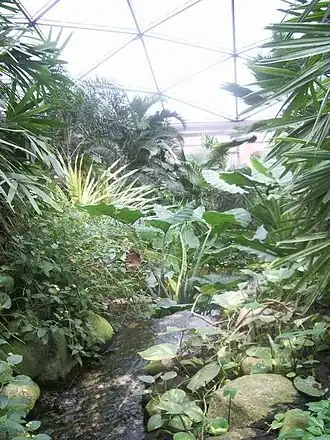 In de kas van Papiliorama