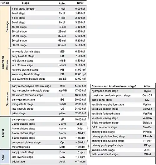 Embryogenese. dpf: dagen na bevruchting; dpm: dagen na de metamorfose; hpf: uren na bevruchting; mpm: maanden na de metamorfose.