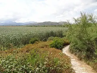 Natuurpark s’Albufera de Mallorca